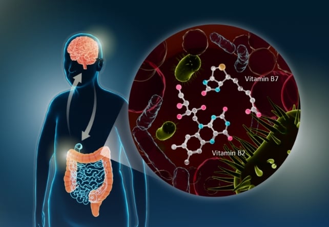 Parkinson's Link to Gut Bacteria Hints at Unexpectedly Simple Treatment