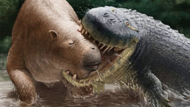 This Giant Crocodile Relative Weighed as Much as a Car And Preyed on Rhino-Sized Mammals