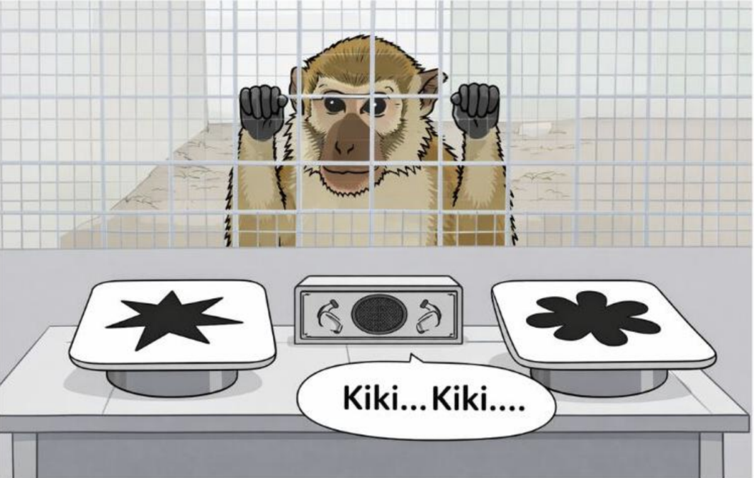 Monkeys Think About 'Bouba' And 'Kiki' In The Same Way Humans Do