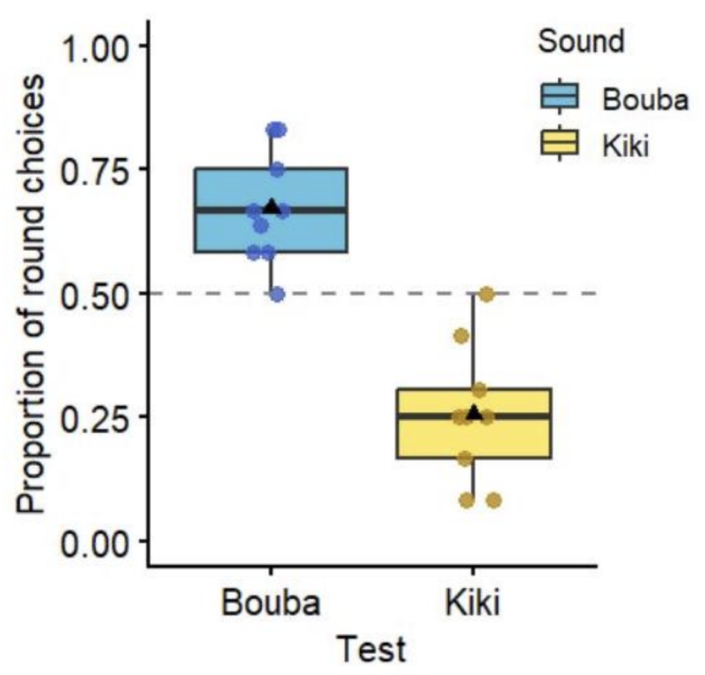 Monkeys Think About 'Bouba' And 'Kiki' In The Same Way Humans Do