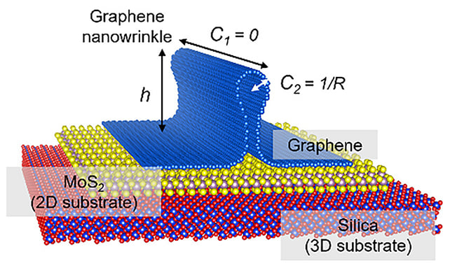 Graphene wrinkle illustration