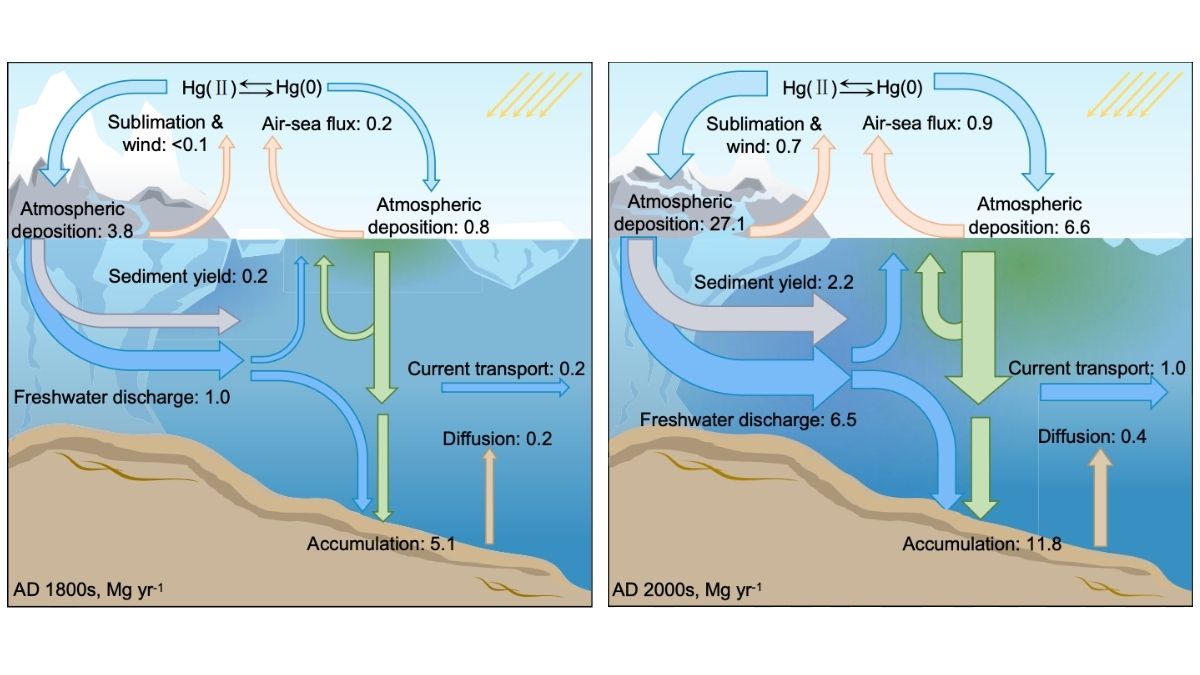 As Antarctica Melts, It's Starting to Leak Mercury Into The Ocean