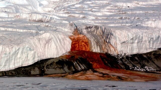 'Unique Refuge': A Lost Sea May Still Be Alive Beneath Antarctica's Eerie Blood Falls