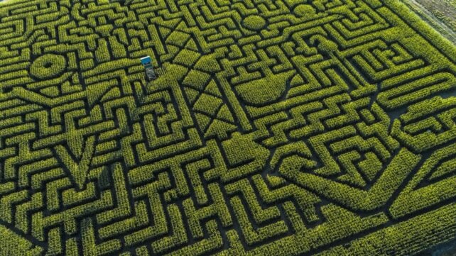 GPS Glitched Across The US by as Much as 33 Feet. Scientists Have Never Seen This Before.
