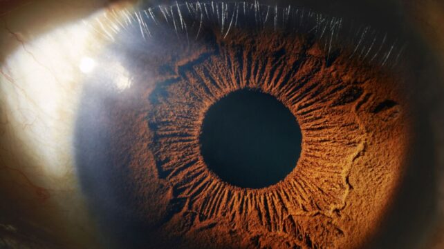World First: Mitochondria From a Woman's Leg Were Injected Into Her Eyes