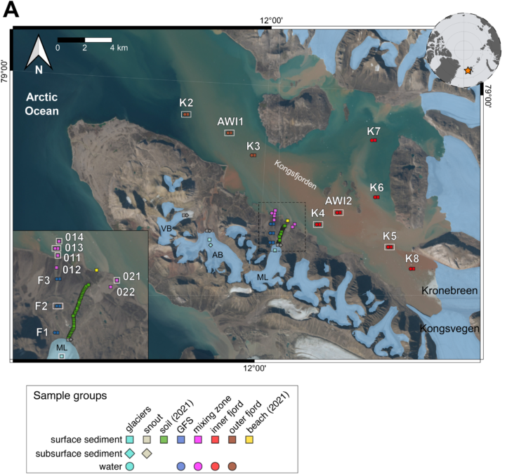 There's Fungi in The Ocean – And They're Way More Important to The Carbon Cycle Than We Realized