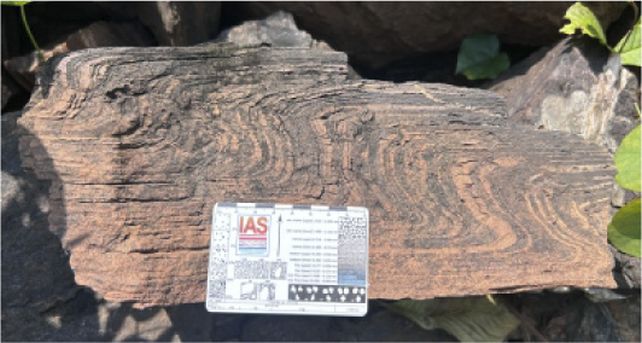 Scientists Find 3.5-Billion-Year-Old Evidence of Life, Directly Dated For The First Time
