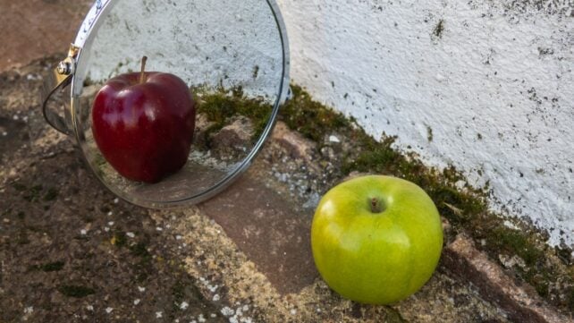 Engineers Create a Strange 'Lying Mirror' That Could One Day Hide Objects in Plain Sight