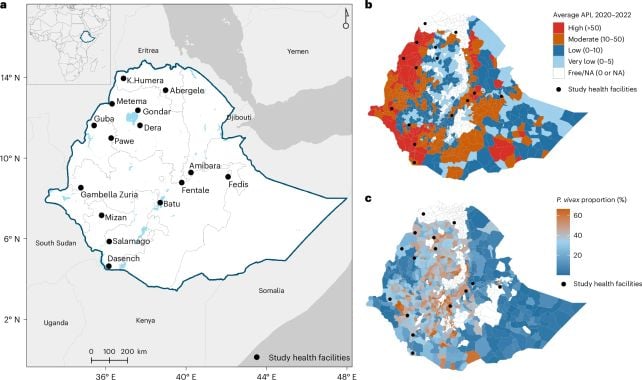 Malaria's Drug Resistance Is Becoming Alarmingly Sophisticated, Study Finds