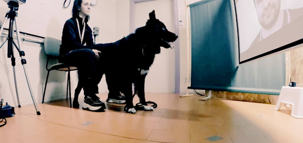 If Your Dog Blinks at You, Maybe It's Trying to Tell You Something
