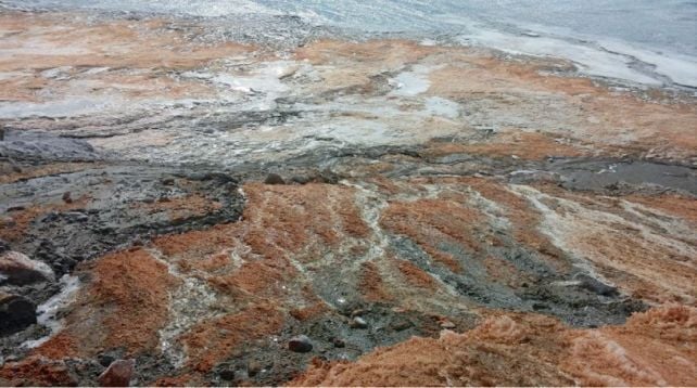 'Unique Refuge': A Lost Sea May Still Be Alive Beneath Antarctica's Eerie Blood Falls