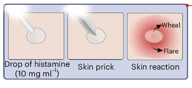 Paying Attention to Your Body Can Actually Change Your Immune Response
