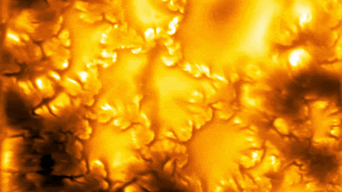 'Simply Astonishing': Record-Breaking Images Reveal The Sun Is Teeming With Whirling Vortices