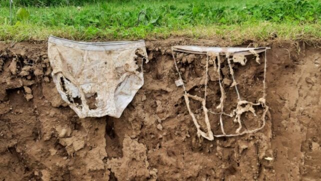 Soil Scientists Buried 2,000 Pairs of Underwear to Prove a Point