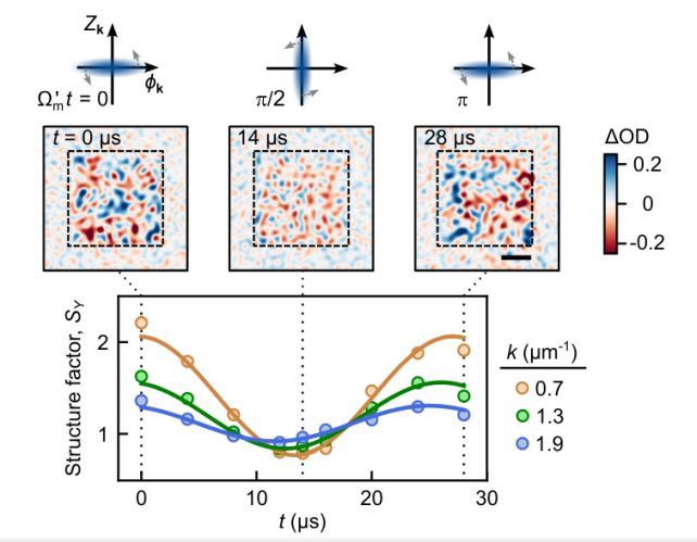 Scientists Have Directly Imaged The Quantum Fluctuations of Empty Space