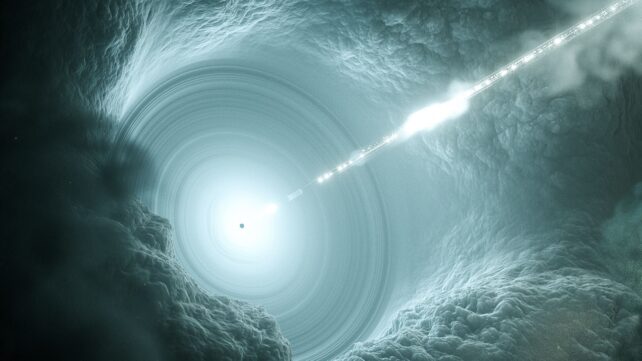 If The Dark Dimension Is Real, The Geometry of Primordial Black Holes Could Reach a Place We Cannot Go