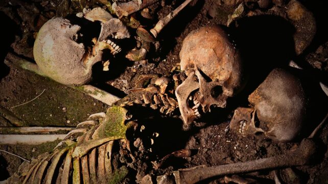 New Study Shows What Really Happened After The Black Death Wiped Out Millions