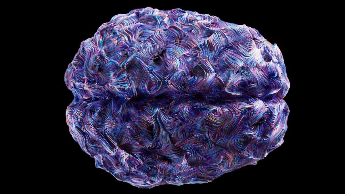 A Neuroscientist Says Your Brain May Not Actually Make Decisions