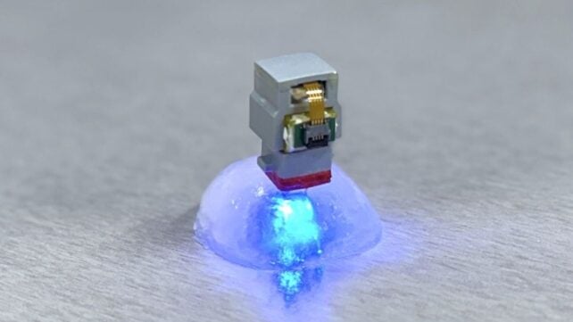 A Brain Implant in Korea Was Just Controlled From The US