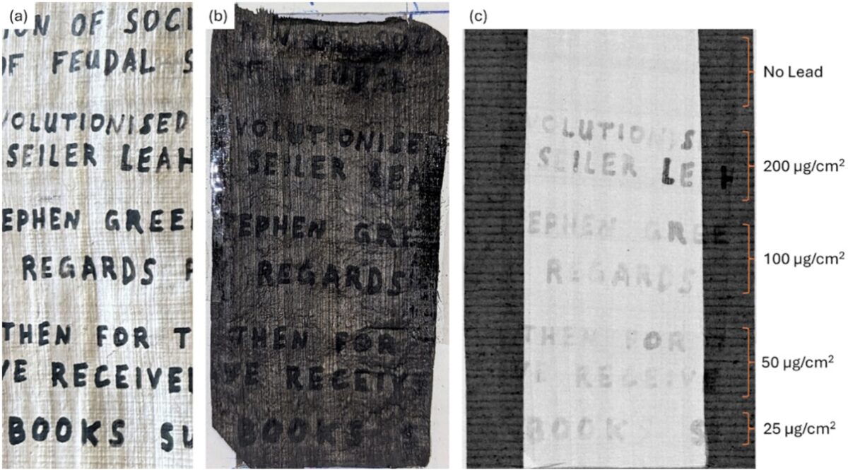 Scientists Burned a Bunch of Scrolls To Learn How To Read Old Burned Scrolls Full of Ancient Wisdom