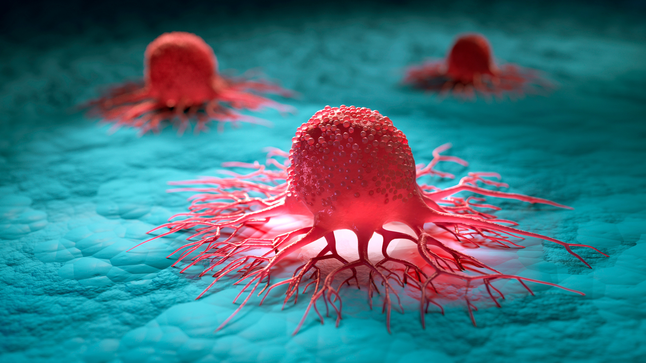 Ultrasound Reveals a Deadly Cancer Building Its Own 'Nest' Inside The Brain