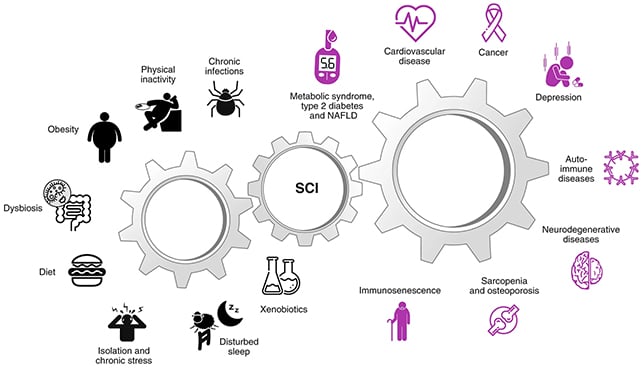 Chronic inflammation