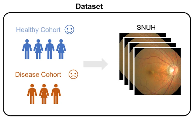 Eye scan training