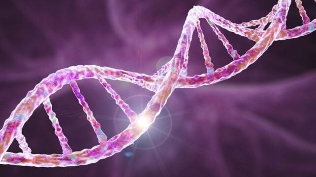 Scientists Uncover Shared Genetic Roots of OCD, Tourette Syndrome, And Autism