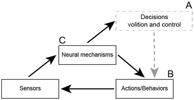 Decision map