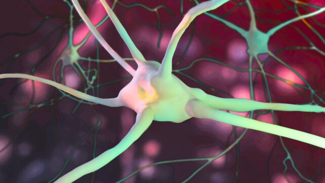 3 Months Before an MS Relapse, Epstein-Barr Virus Shows Signs of Reactivating