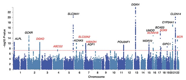 GWAS example