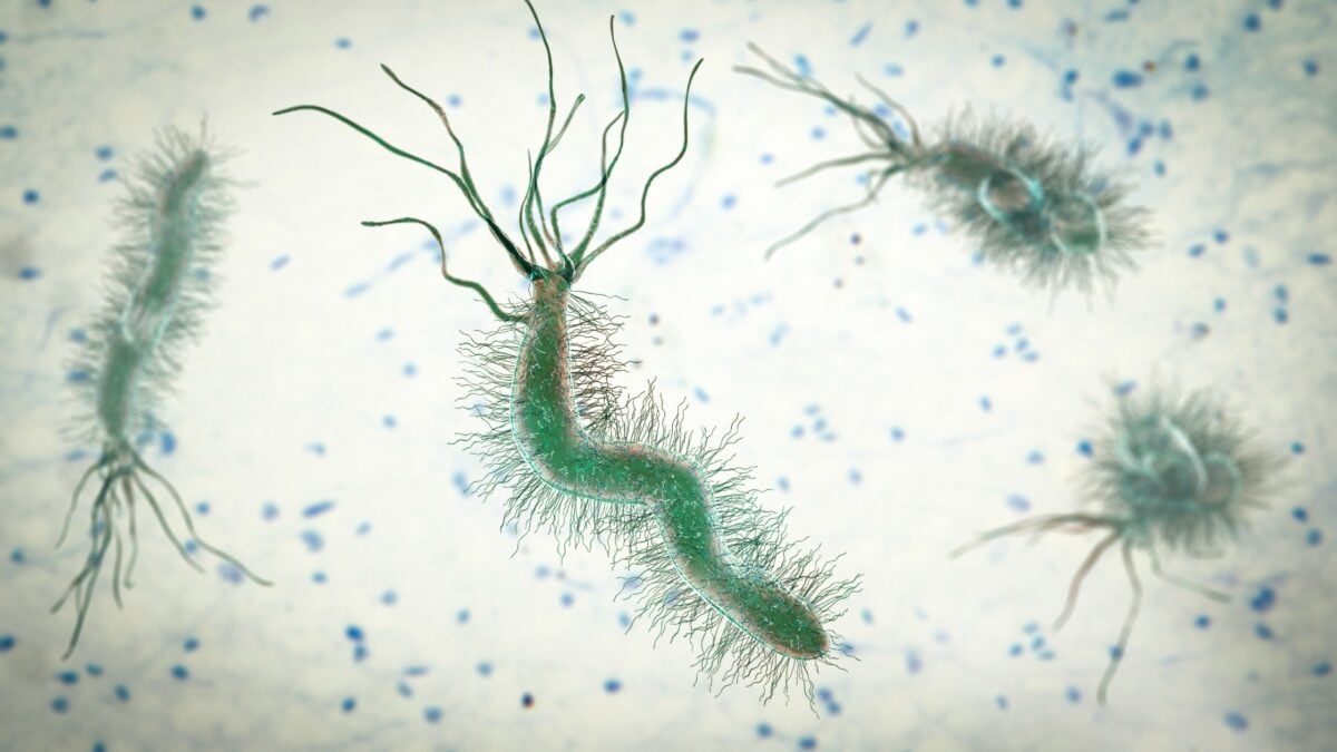 Just 5 Infections Responsible For More Than 2 Million New Cancer Cases Annually