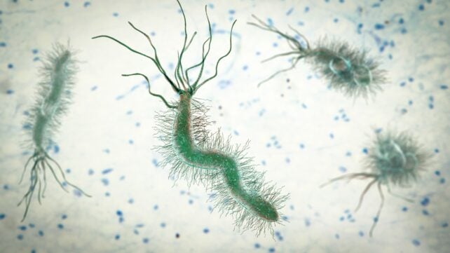 Just 5 Infections Responsible For More Than 2 Million New Cancer Cases Annually