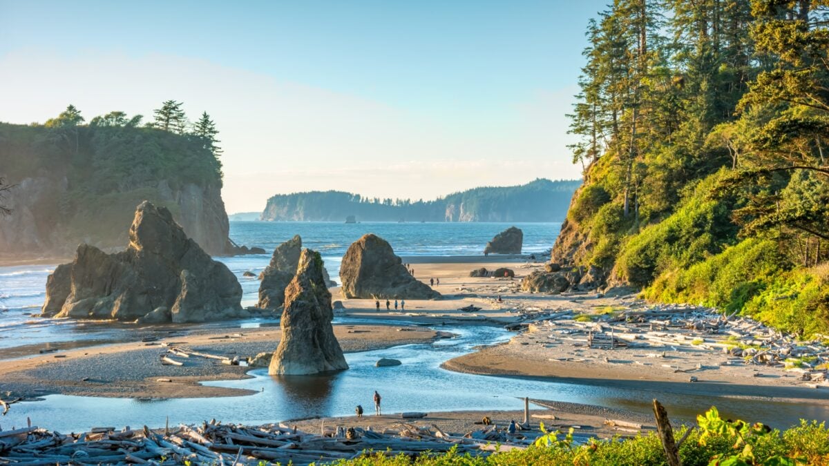 Sea stack at Ruby Beach in Olympic National Park, Washington state, USA