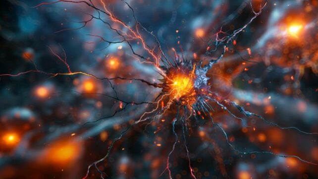A 1-Millisecond Spark in Brain Cells May Carry More Information Than We Thought
