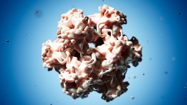 Human papilloma virus, computer artwork