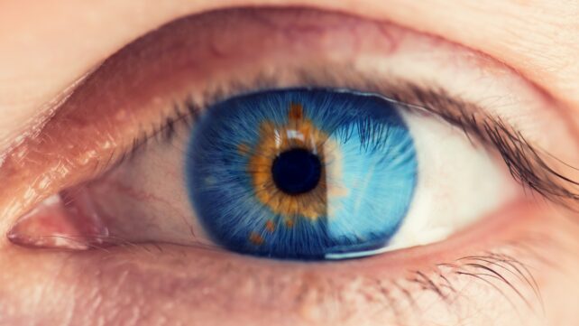 Your Eyes Could Reveal How Fast You're Aging, Study of Nearly 30,000 Scans Suggests