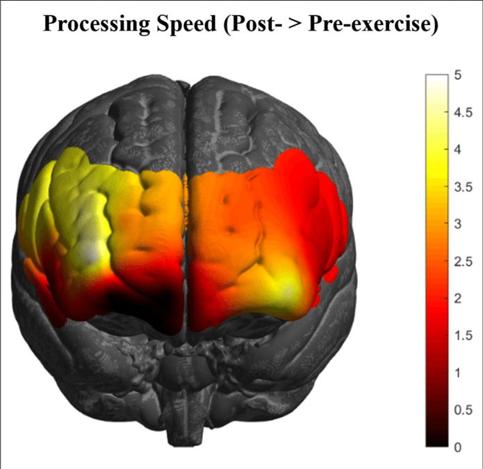 Even Very Slow Runs Can Benefit The Brain, Study Suggests