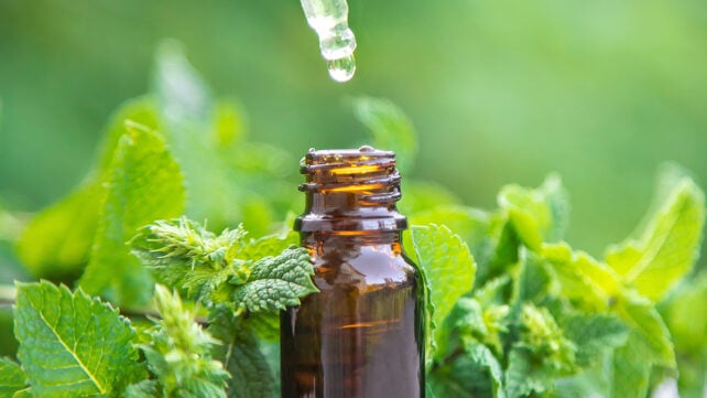 Peppermint oil