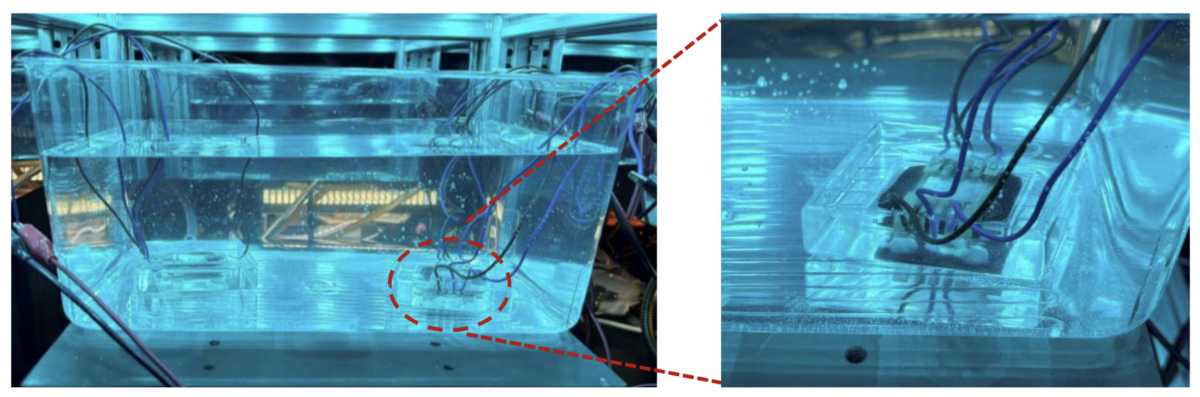 Scientists Have Created Solar Cells That Work Underwater