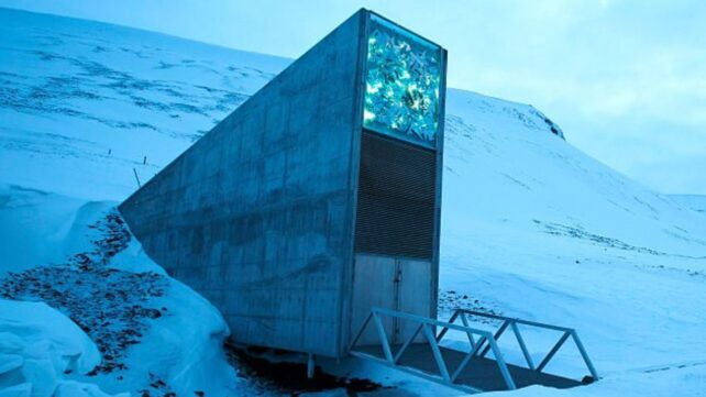 Scientists Identify The 'Doomsday' Seeds That Could Last The Longest