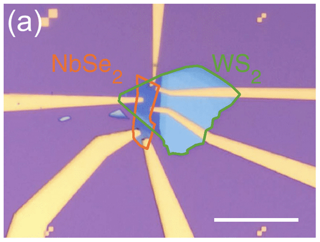 Tunneling spectroscopy device