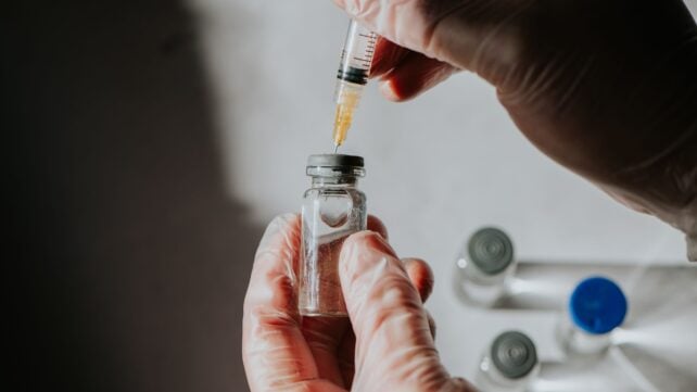 Nine Patients Received a Personalized Kidney Cancer Vaccine. None Had a Recurrence.