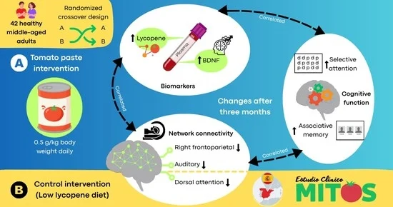 Scientists Had People Eat Tomato Paste For 3 Months. Brain Scans Revealed a Change