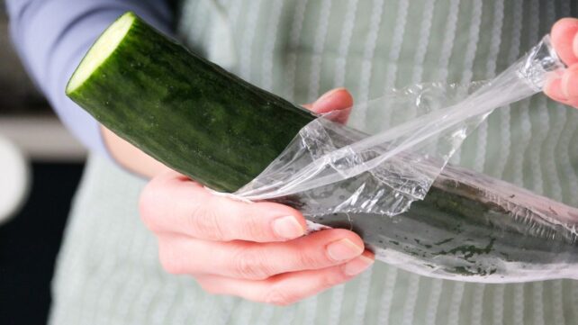 A New Study Put People on a Low-Plastic Diet. It Changed The Chemicals in Their Urine.