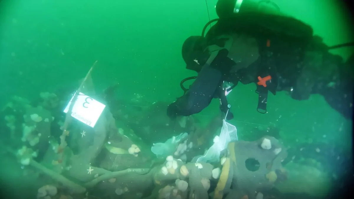 A WW1 Submarine Wreck Is Leaking TNT Into The North Sea - And It's Not Alone