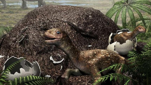 Dinosaurs May Have Engineered Their Own Egg Incubators to Survive Cold Regions