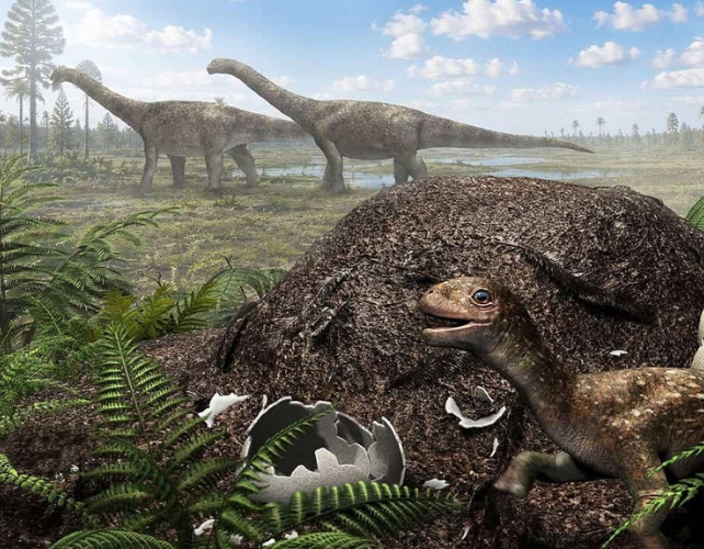 Titanosaur Eggs in Frigid Patagonia May Have Survived Because The Parents Built Microbe-Powered Incubators