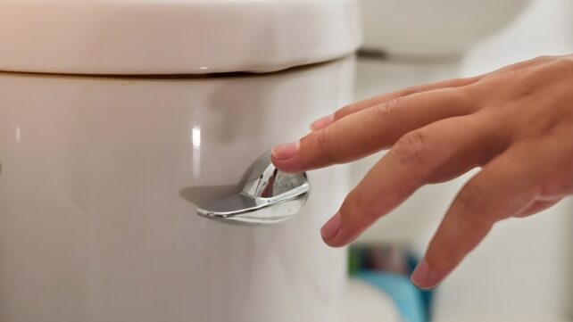 Flushing a Toilet Can Blast Germs Up to Your Breathing Zone, Study Finds