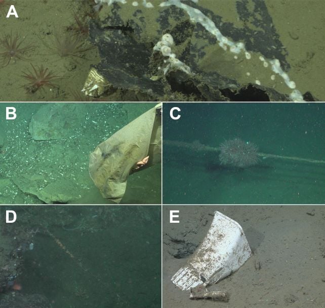 Mi Goreng Noodle Packet Found Nearly 2 Kilometers Beneath The Sea